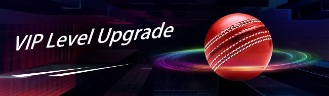 Promo banner of the Becric with a red ball and text VIP level upgrate

