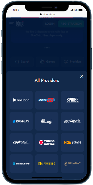A smartphone showing All providers section on the BlueChip site